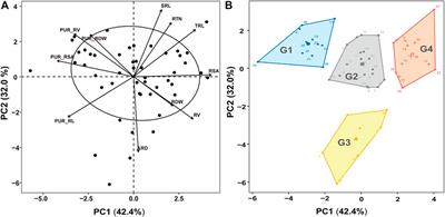 Study on the Relationship of Root Morphology and Phosphorus Absorption Efficiency With Phosphorus Uptake Capacity in 235 Peanut (Arachis hypogaea L.) Germplasms